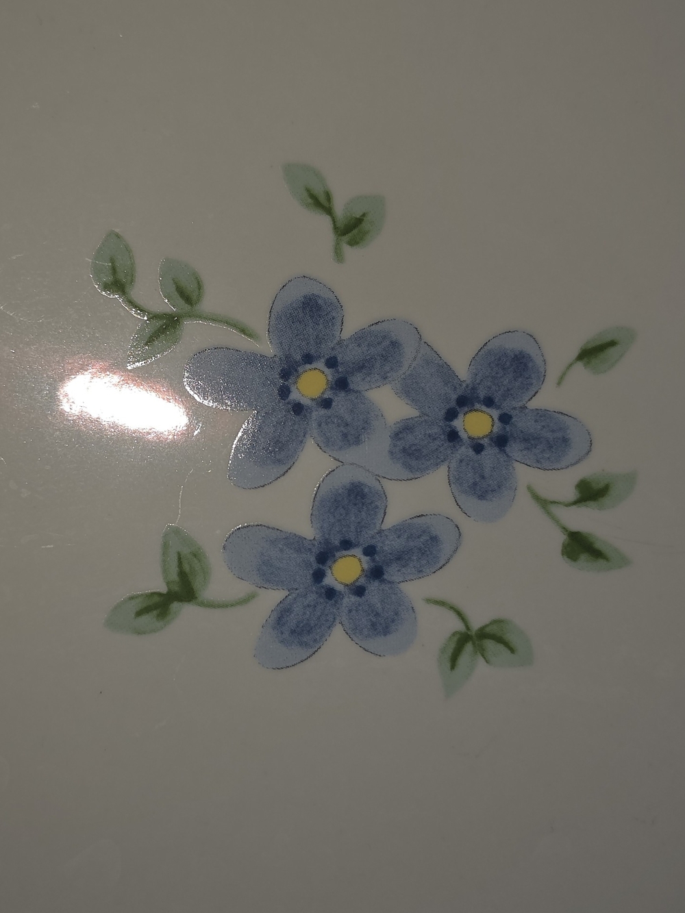 Pfaltzgraff Blue Floral Ceramic Plate with Green Leaves